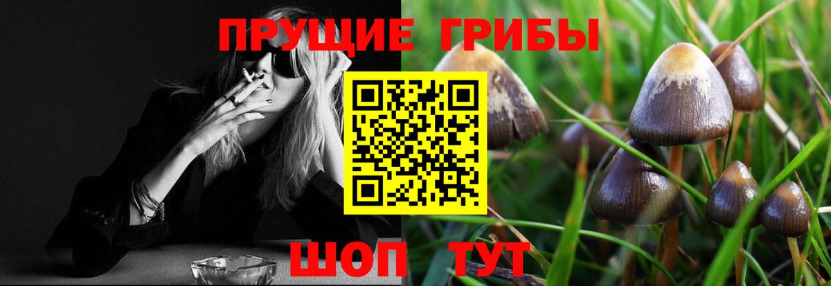 Псилоцибиновые грибы мухоморы Анжеро-Судженск