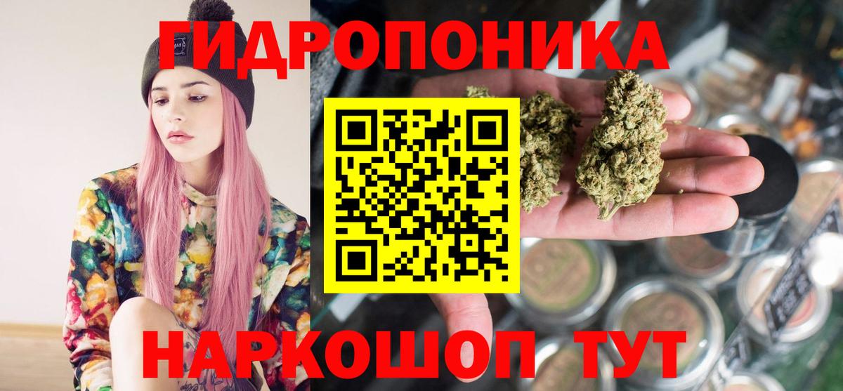 Шишки марихуана гибрид Анжеро-Судженск